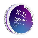 XQS-Blueberry-Mint-8mg-Prs.webp