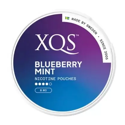 XQS Blueberry Mint Strong - Rouleau de 10 boîtes